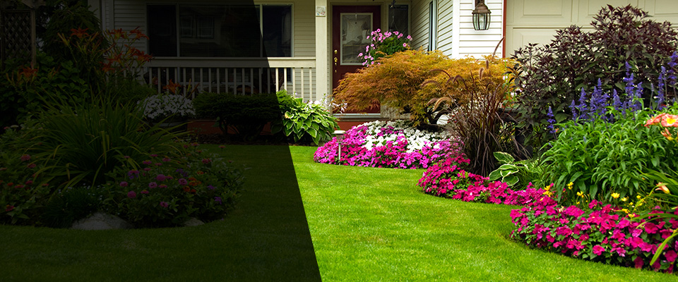 Tyrone Landscapers